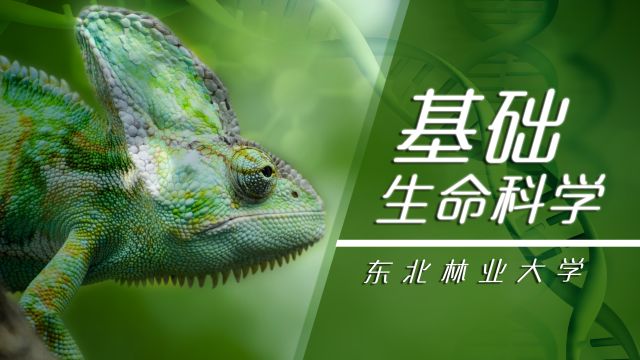 基础生命科学-2022春