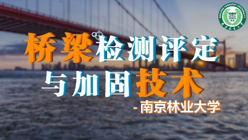 桥梁检测评定与加固技术