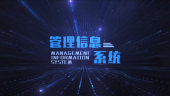 管理信息系统(山东财经大学)