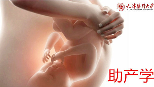 助产学