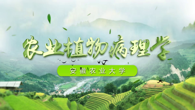 农业植物病理学
