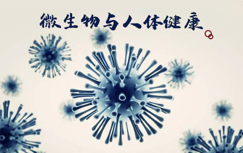 微生物与人体健康