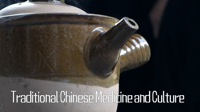 Traditional Chinese Medicine and Culture-2022春