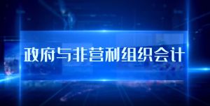政府与非营利组织会计