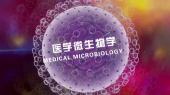 医学微生物学(北华大学)