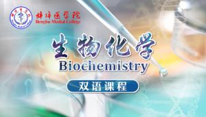 生物化学（双语课程）