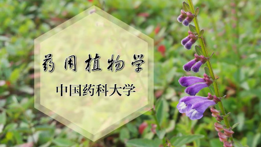 药用植物学
