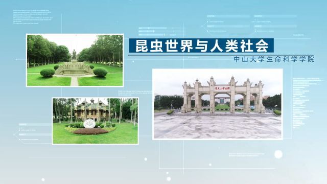 昆虫世界与人类社会-2022春