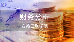 财务分析