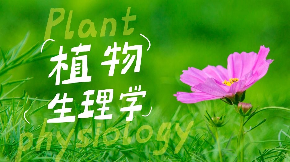 植物生理学