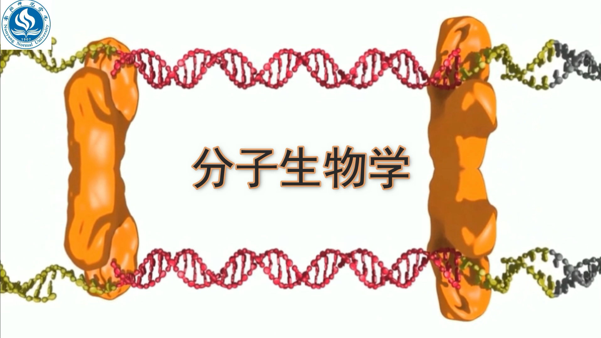 分子生物学