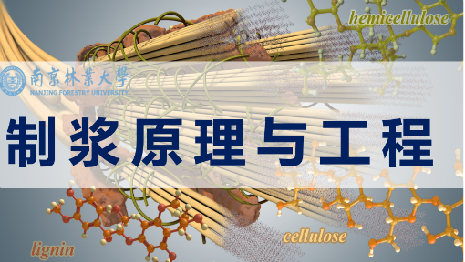 制浆原理与工程