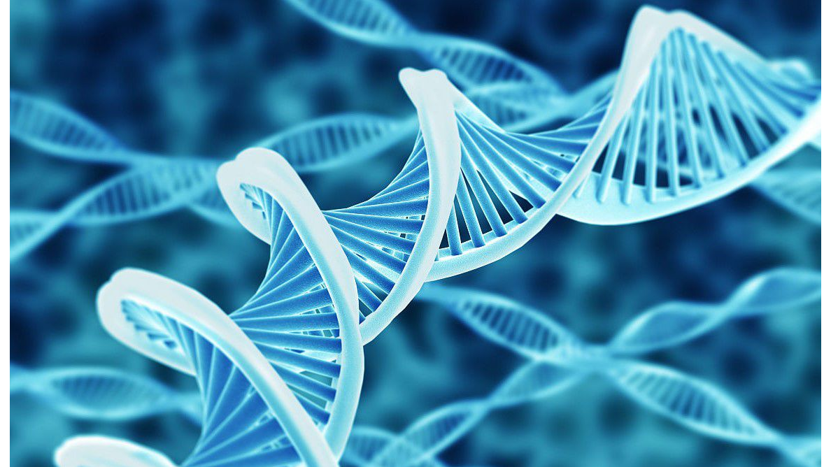 分子生物学及常用技术