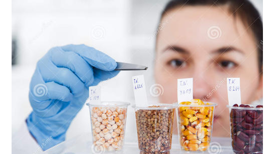 食品理化分析