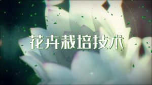 花卉栽培技术