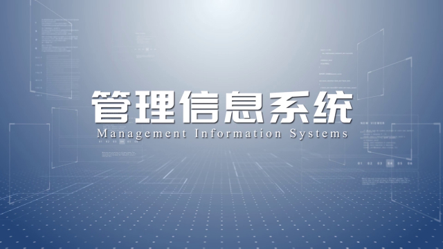管理信息系统