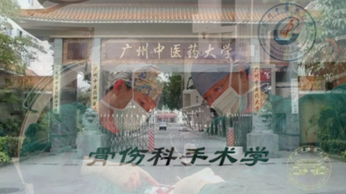 骨伤科手术学