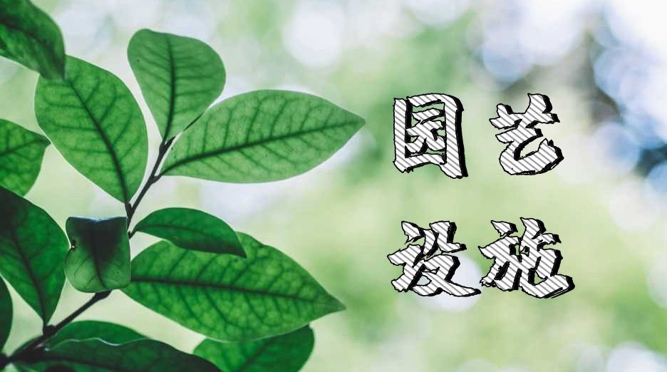 园艺设施