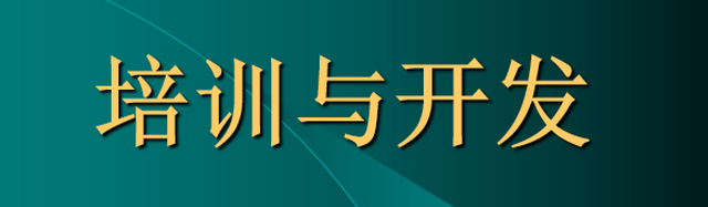 培训与开发