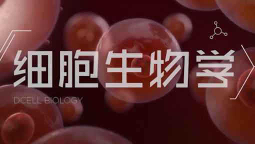 细胞生物学