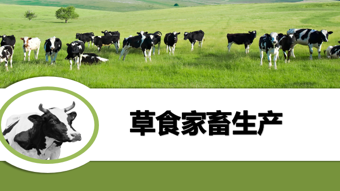 草食家畜生产