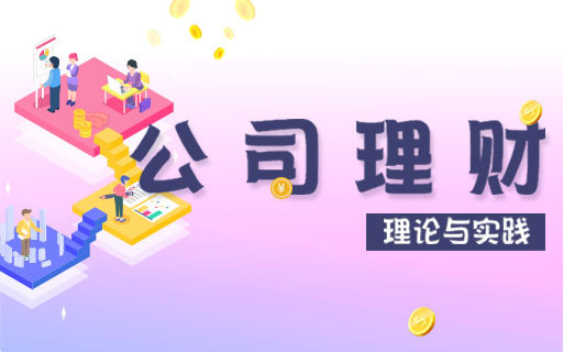 公司理财理论与实践