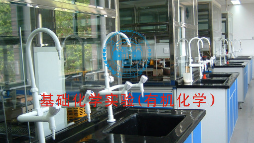 基础化学实验(有机化学)