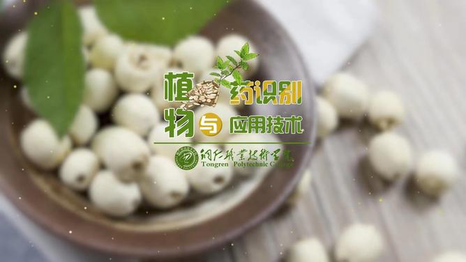 植物药识别与运用技术