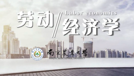 劳动经济学