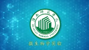 微生物学实验