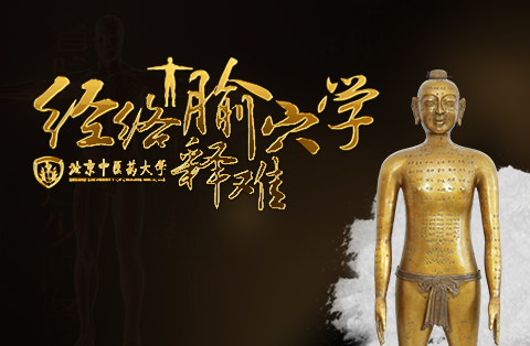 经络腧穴学释难