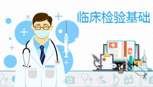 临床检验基础