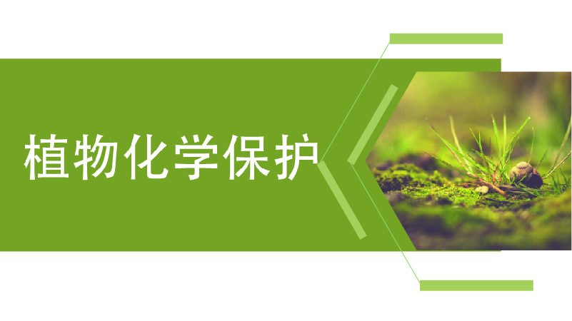 植物化学保护