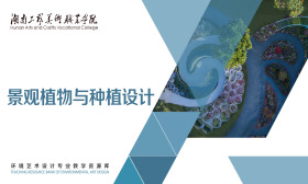 景观植物与种植设计