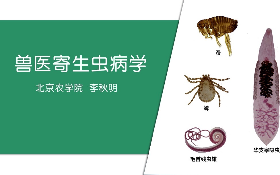 兽医寄生虫病学