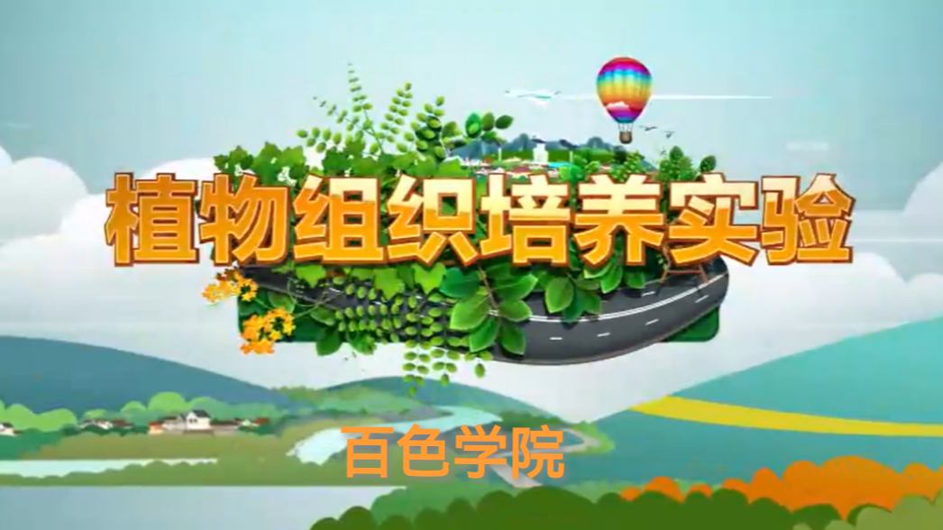 植物组织培养实验