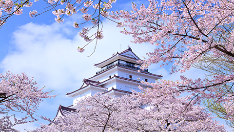 基础日语2