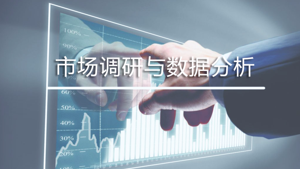 市场调研与数据分析