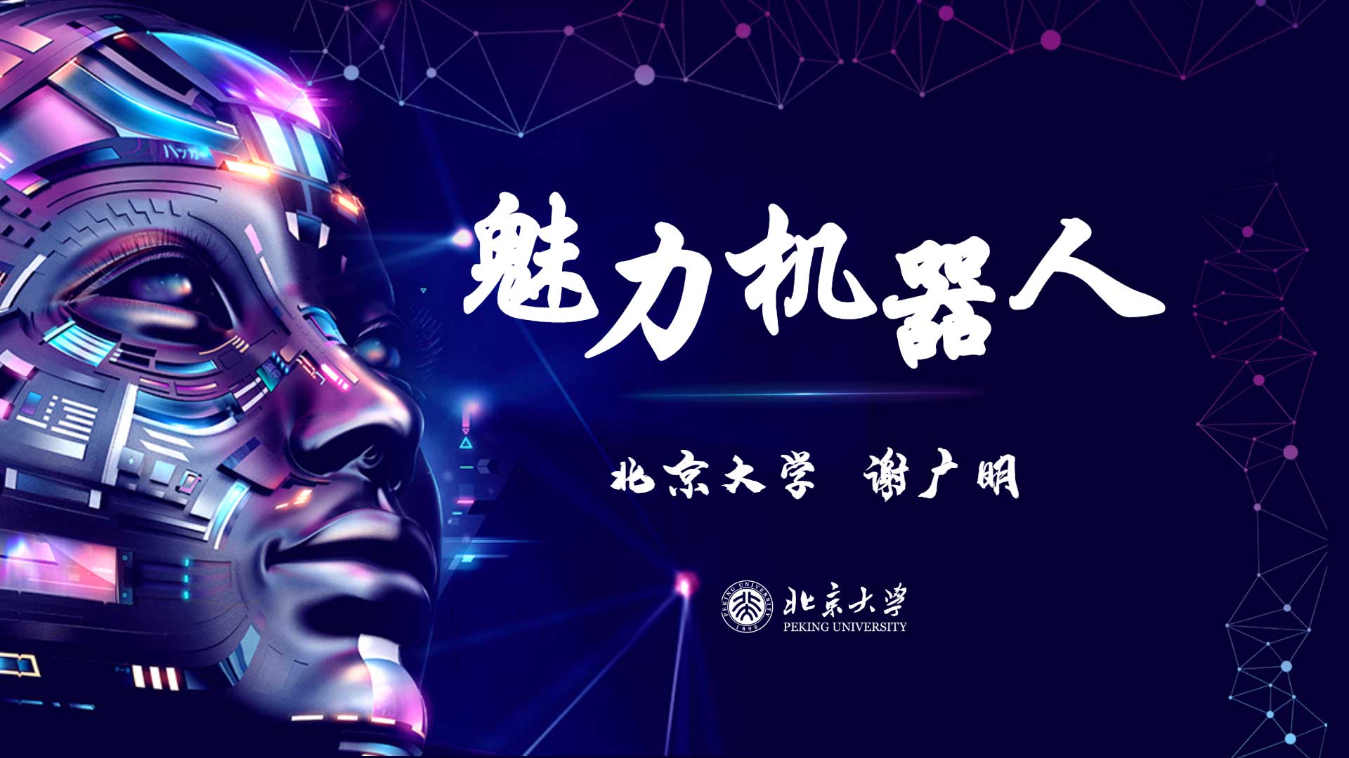 魅力机器人