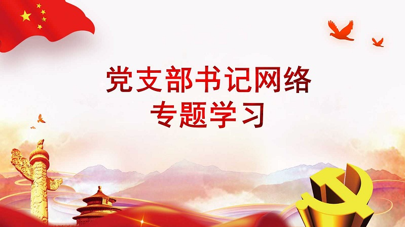 党支部书记网络专题学习（武汉软件工程职业学院）