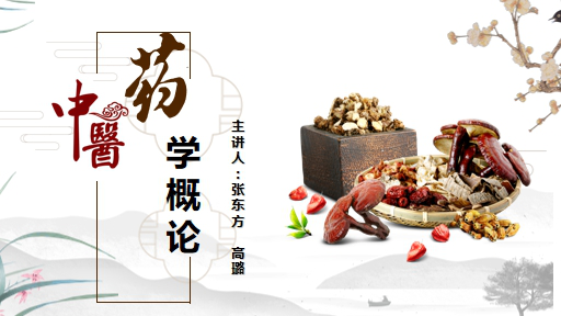中医药学概论