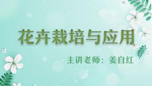花卉栽培与应用