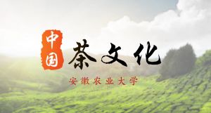 中国茶文化